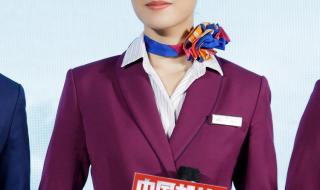 刘传健的电视节目 英雄机长刘传健近况