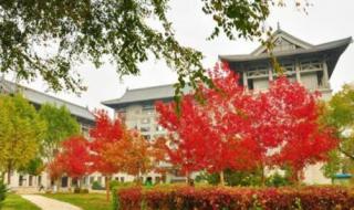 黑龙江有哪些本科学院招收专科生的 黑龙江旅游职业学院