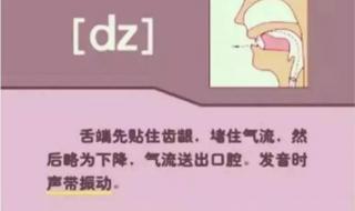 英语字母表中的辅音字母是什么 英语辅音音标发音