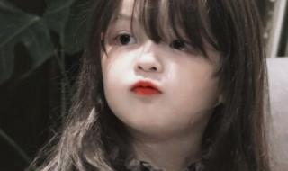 二硫碘化钾是不是化尸弹药 二硫碘化钾是什么梗