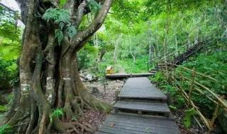 热带雨哪个app可以看 热带雨未删减版观看