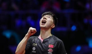 1965布达佩斯世乒赛男单冠军比分 2003年世乒赛男单冠军